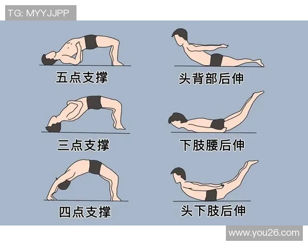 坚持科学健身打造健康体魄让运动成为提升生活质量的力量源泉