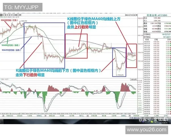 篮球运动的魅力与发展趋势探讨：从基础技术到全球化影响的深度分析